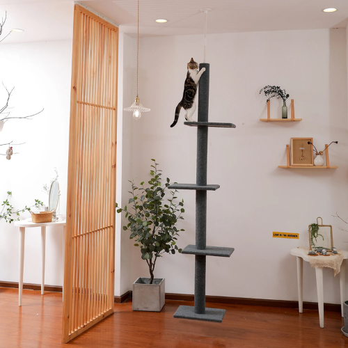 Pawla Petstore: EMIL Kratzbaum
