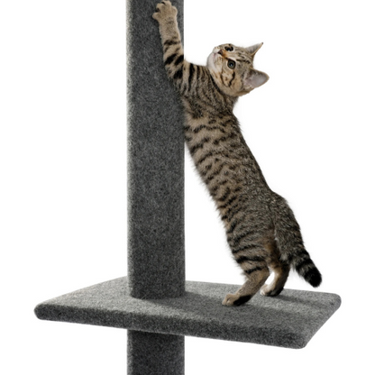 Pawla Petstore: EMIL Kratzbaum