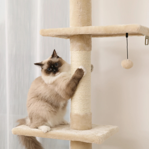 Pawla Petstore: EMMA Kratzbaum