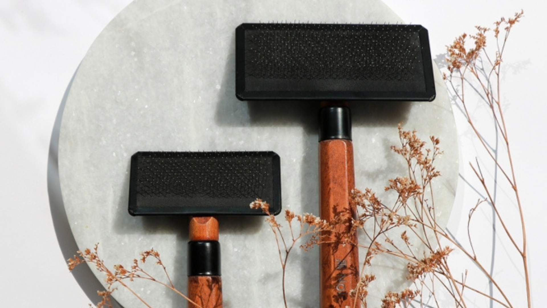 Pflege-Buersten-Banner