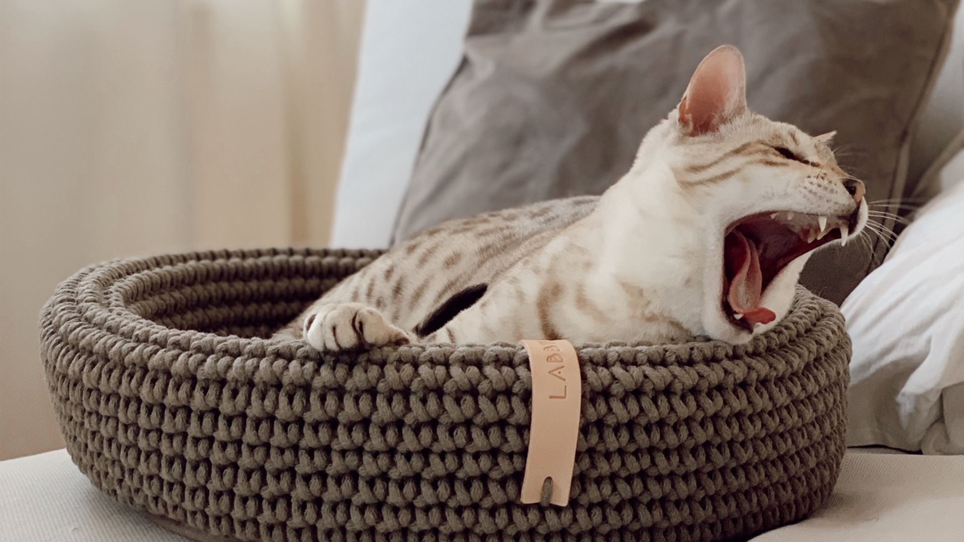 Schlafplatz-Katze-Banner