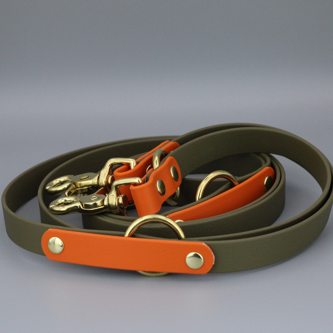 Styledog Wonderland Freihandleine "Gold Edition" Biothane