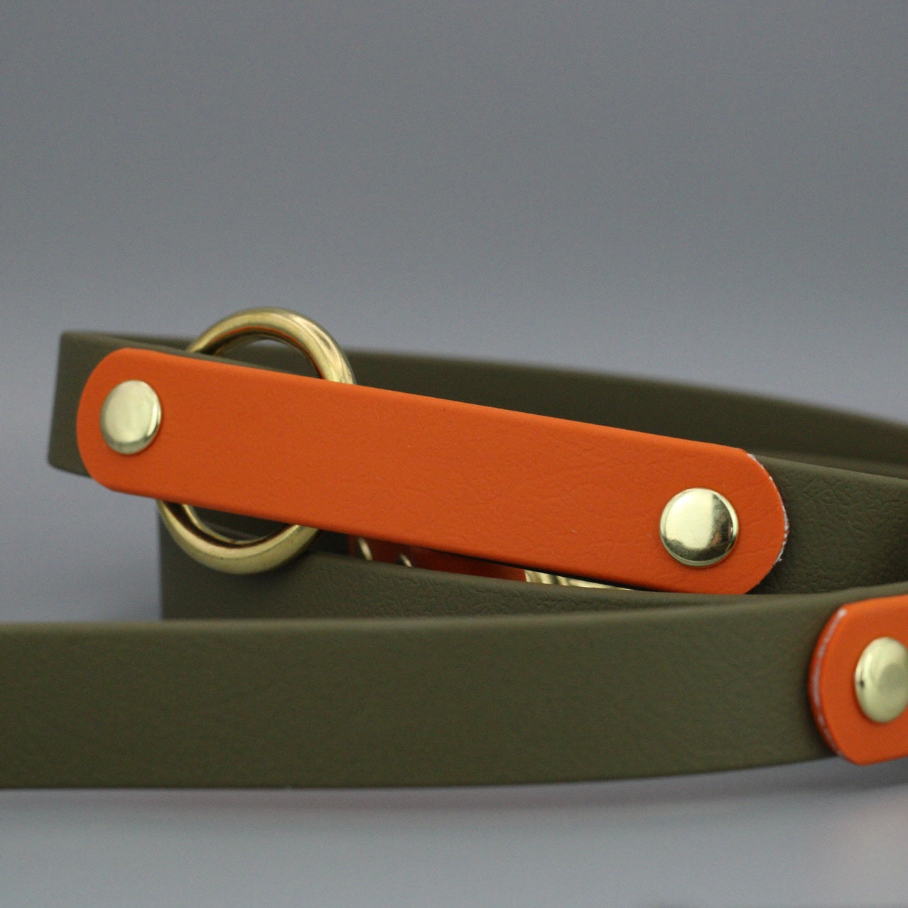Styledog Wonderland Freihandleine "Gold Edition" Biothane
