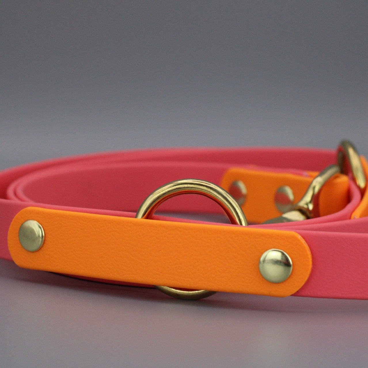 Styledog Wonderland Freihandleine "Gold Edition" Biothane