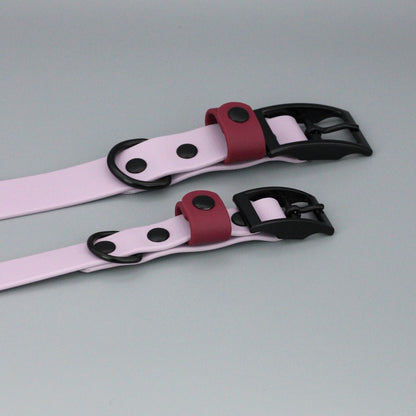 Styledog Wonderland Hundehalsband "Black Edition" Biothane