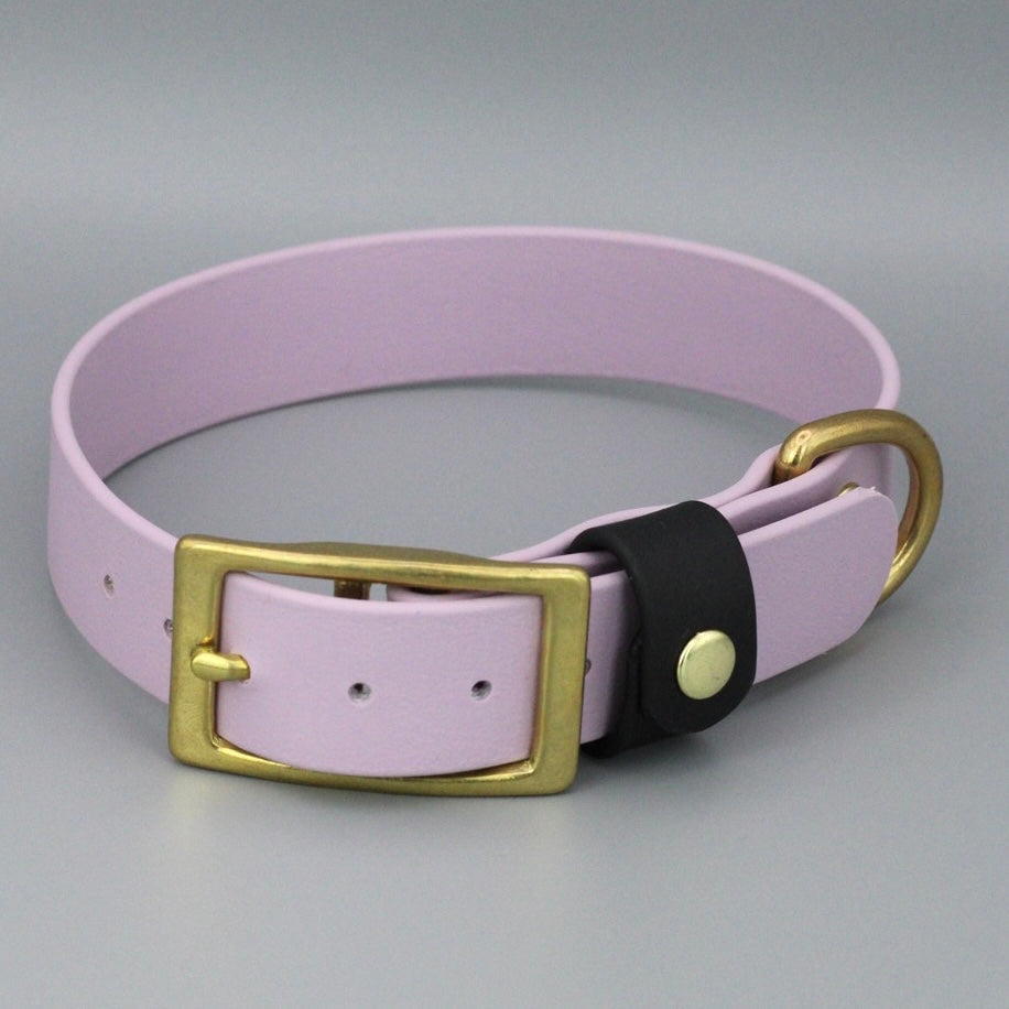 Styledog Wonderland Hundehalsband "Gold Edition" Biothane