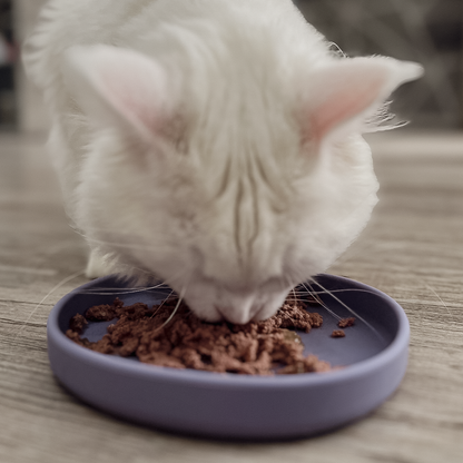 Flache Silikon Futterschale für Katzen