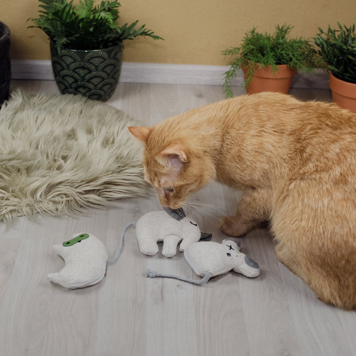 Katzenspielzeug mit Katzenminze 3er Set