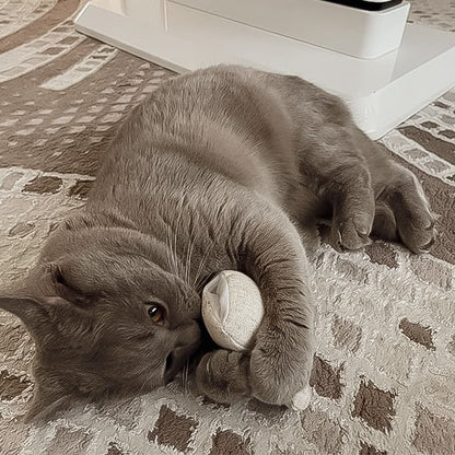 Katzenspielzeug mit Katzenminze 3er Set