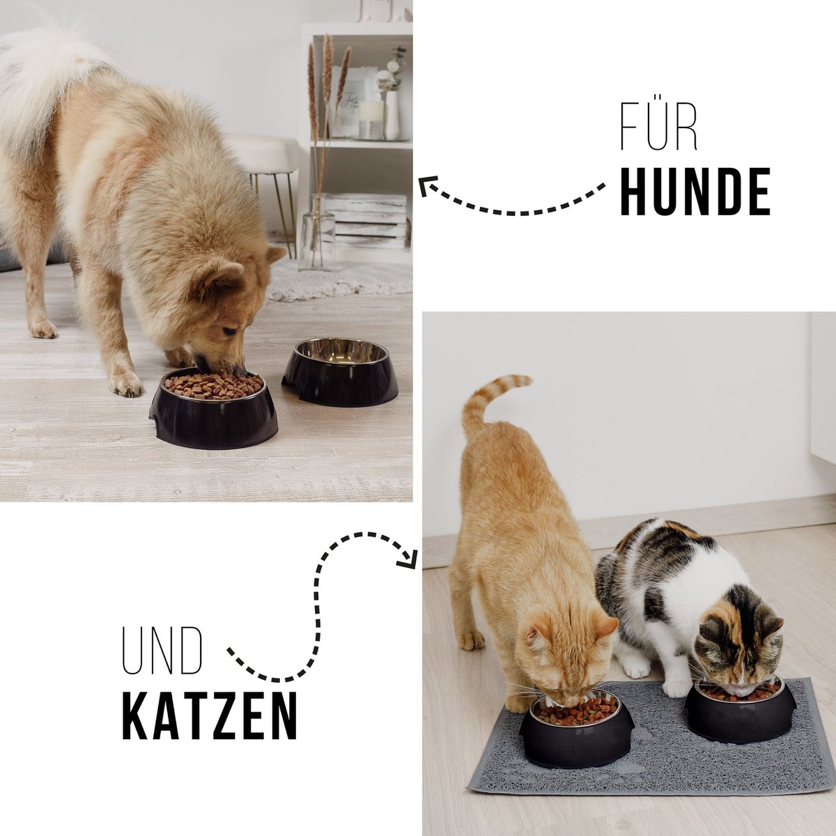Futternapf 2er Set für Hunde und Katzen – Schwarz
