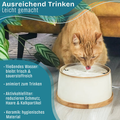 Keramik Trinkbrunnen für Katzen