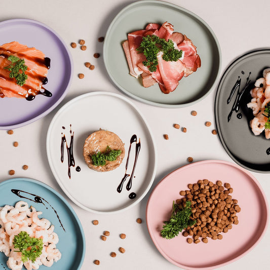 ne&no® flache Silikon Futterschale für Katzen