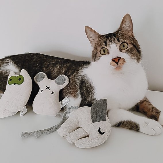 Katzenspielzeug mit Katzenminze 3er Set