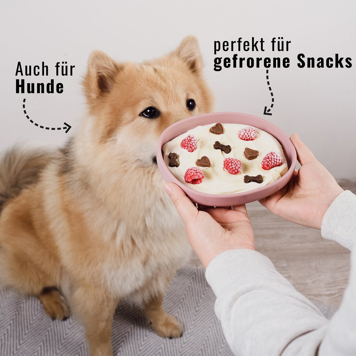 Flache Silikon Futterschale für Katzen
