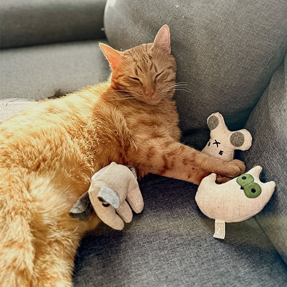 Katzenspielzeug mit Katzenminze 3er Set