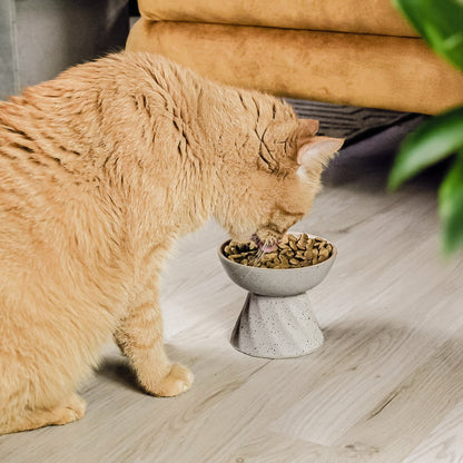 Erhöhter Keramik Futternapf für Katzen