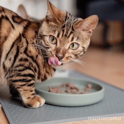 Flache Silikon Futterschale für Katzen