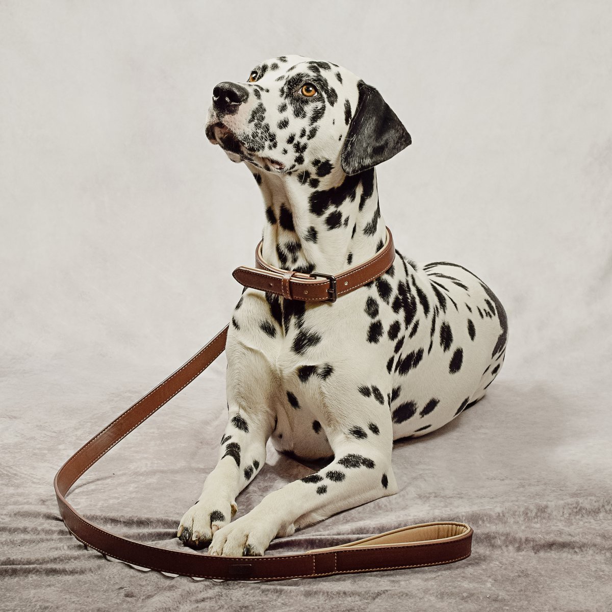 Halsband & Leine Set aus veganem Leder – Braun/Beige