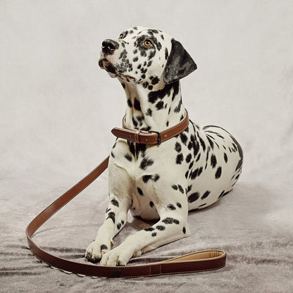 Halsband & Leine Set aus veganem Leder – Braun/Beige