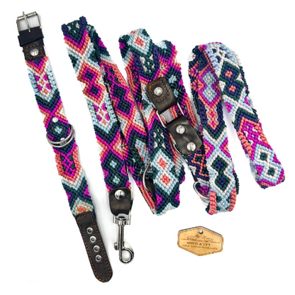 Monti and Ivy Set aus Halsband & Leine HORIZON