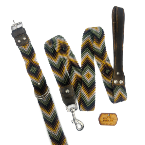 Monti and Ivy Set aus Halsband & Leine RAINBOW