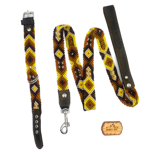 Monti and Ivy Set aus Halsband & Leine RAINBOW