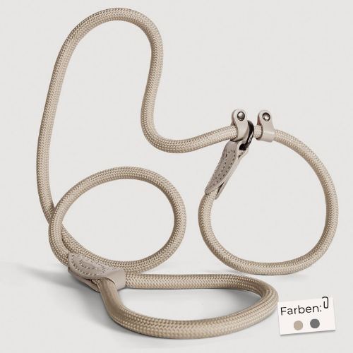 Retrieverleine – Tauleine mit integriertem Halsband