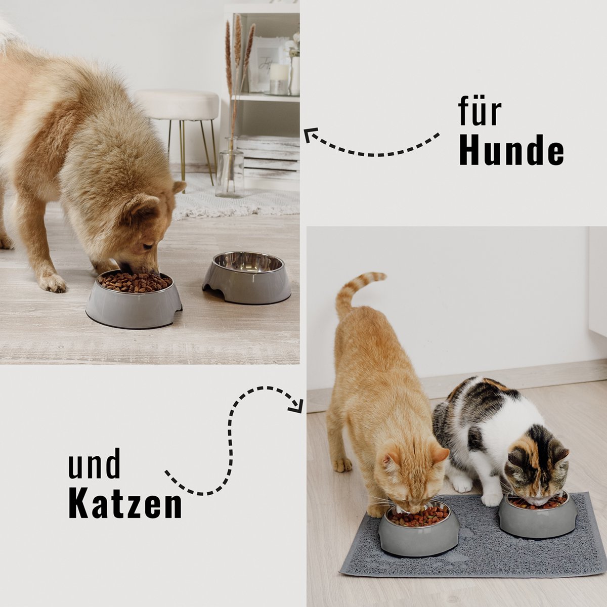 ne&no® Futternapf 2er Set für Hunde und Katzen Grau