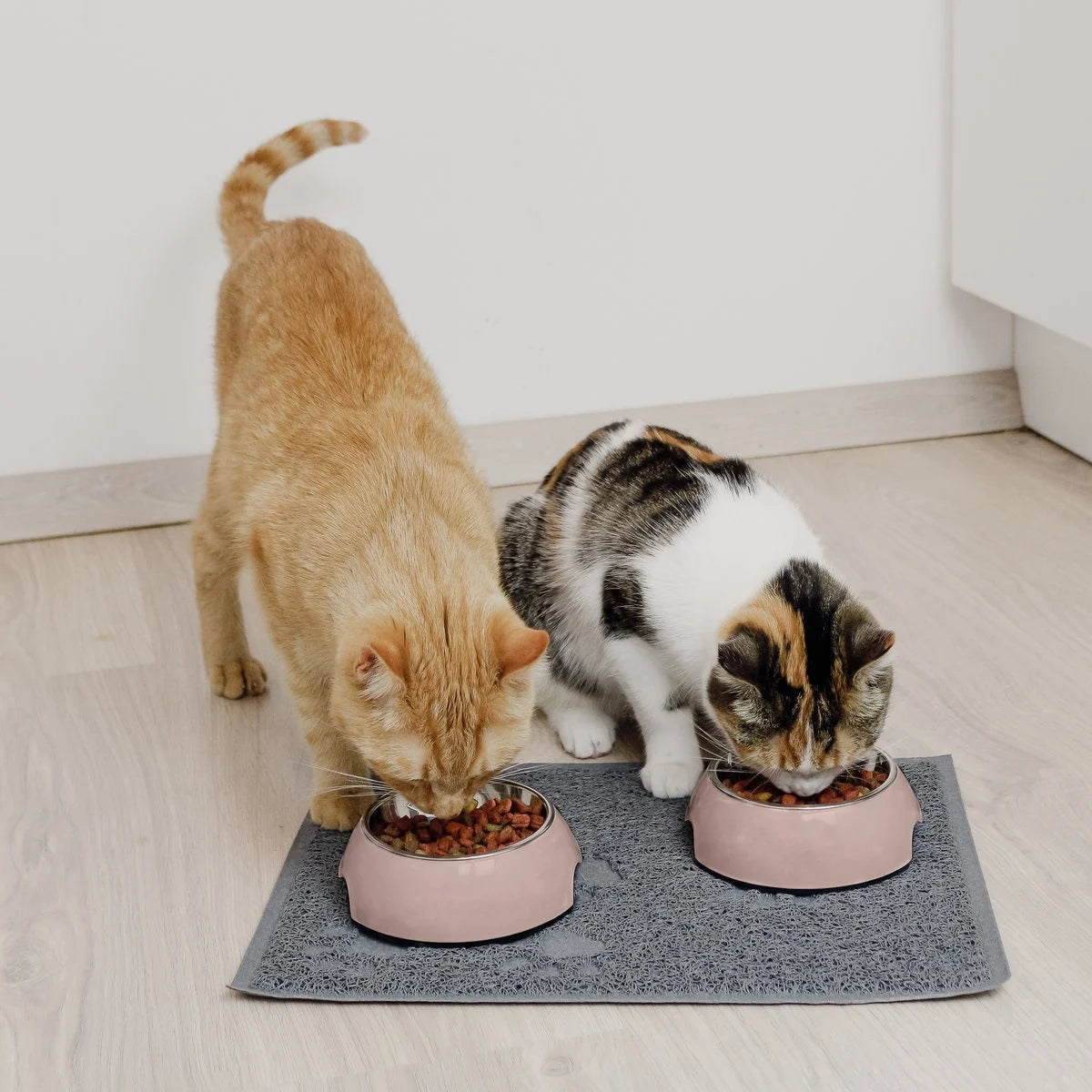 ne&no® Futternapf 2er Set für Hunde und Katzen Rosa