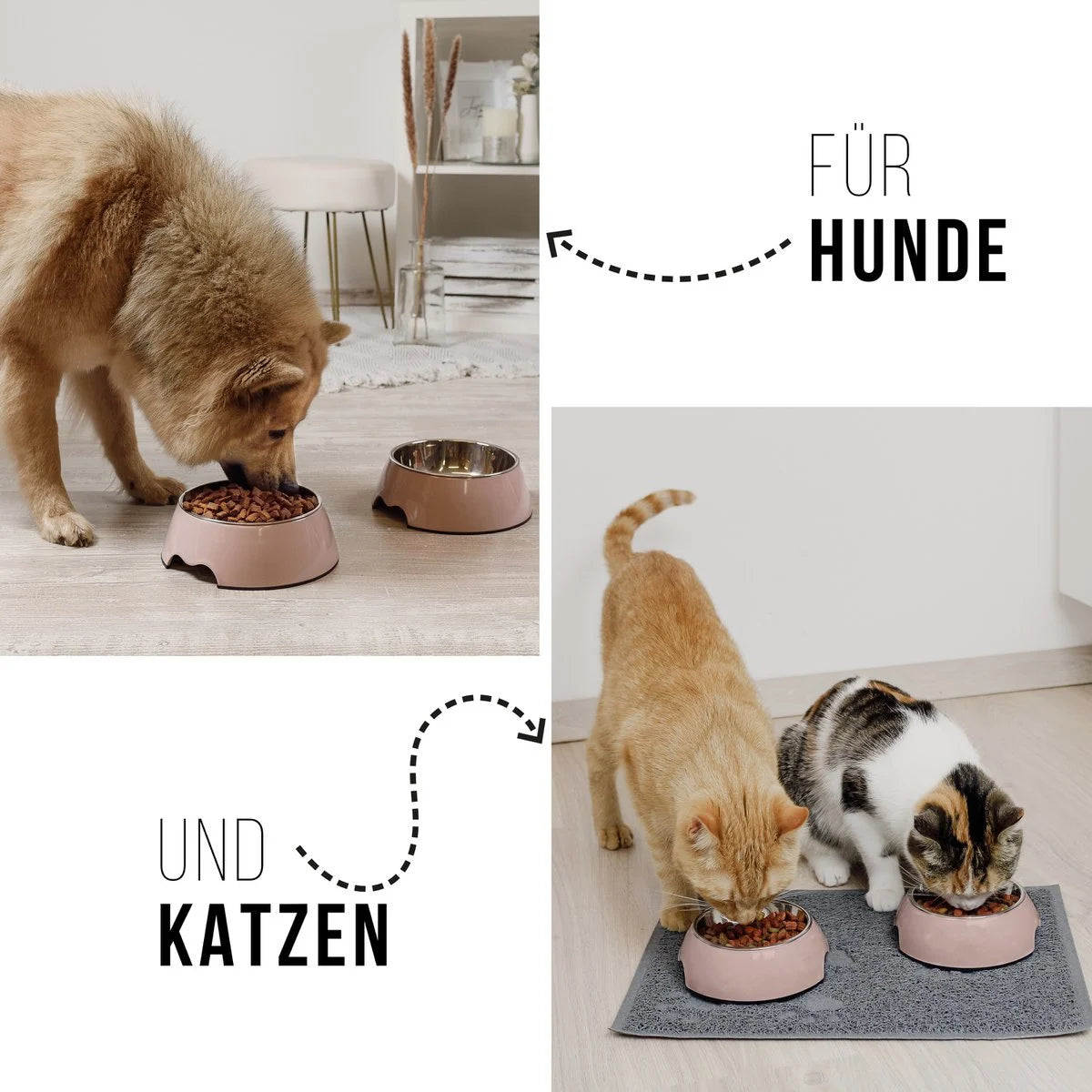 ne&no® Futternapf 2er Set für Hunde und Katzen Rosa