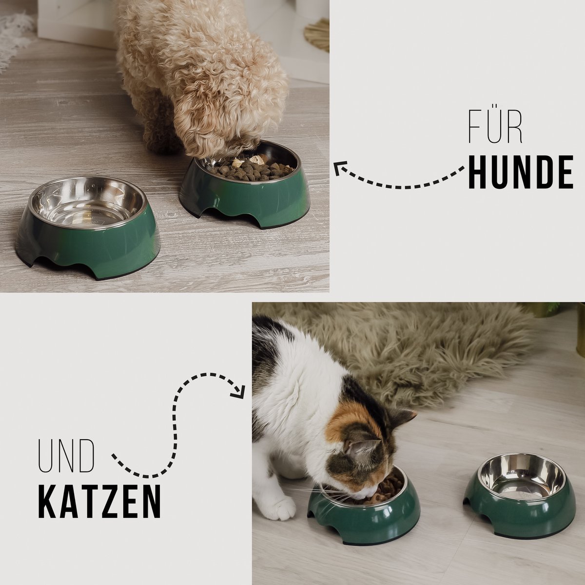 ne&no® Futternapf 2er Set für Hunde und Katzen Waldgrün