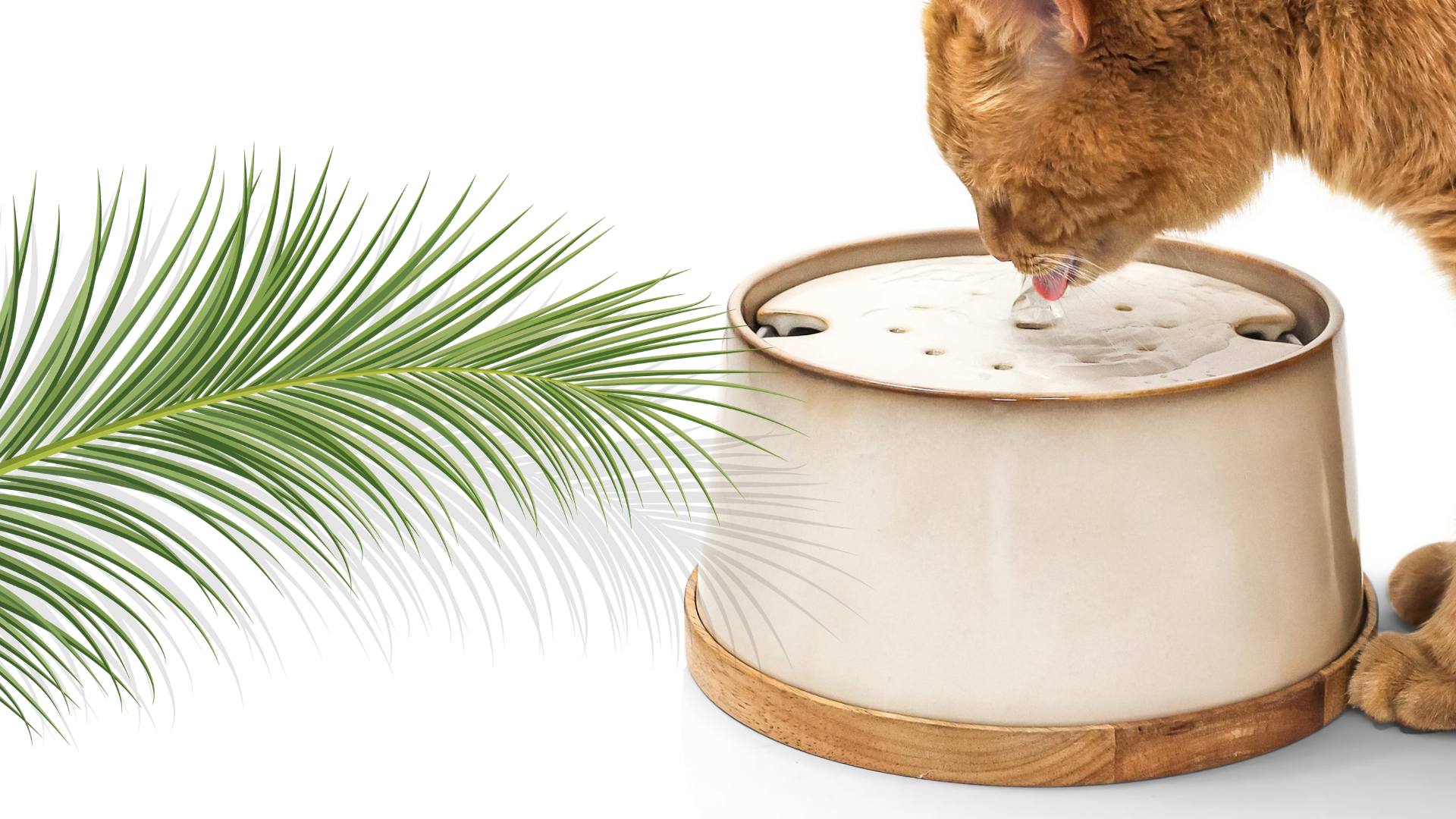 neno Trinkbrunnen mit Katze