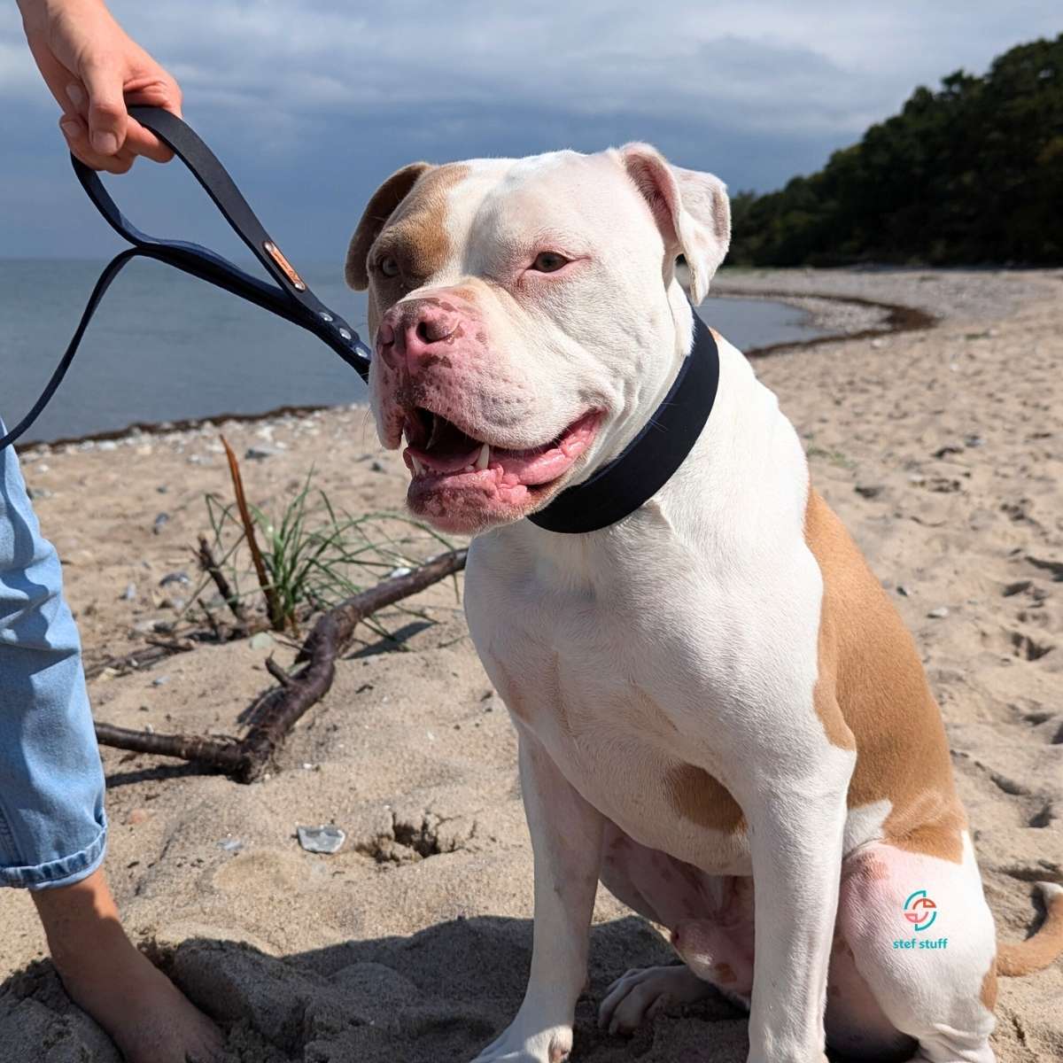 stef stuff Breites Halsband Fettleder PURE