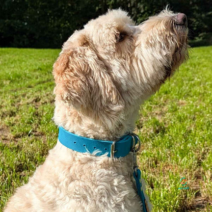 stef stuff Breites Halsband Fettleder PURE